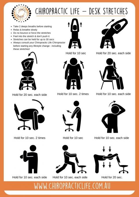 Best Desk Stretches - Chiropractic Life