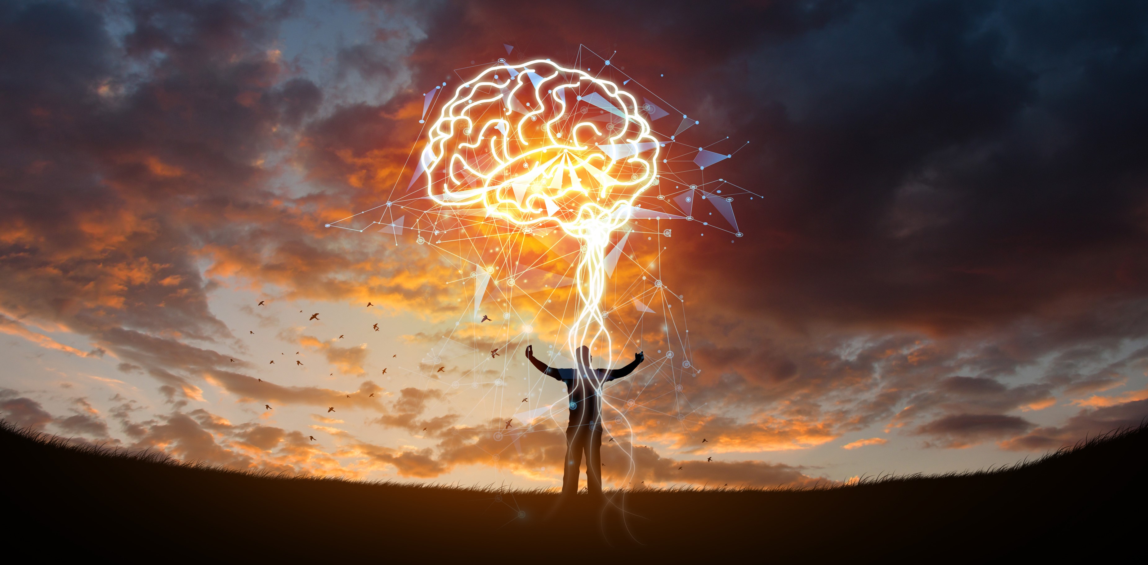 Fuel Your Energy & Brain Connection